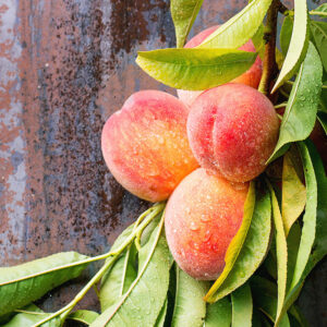 Colorado ORGANIC Fruit #2 - order by 7-25
