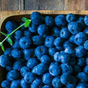 Michigan Blueberries - order by 7-15